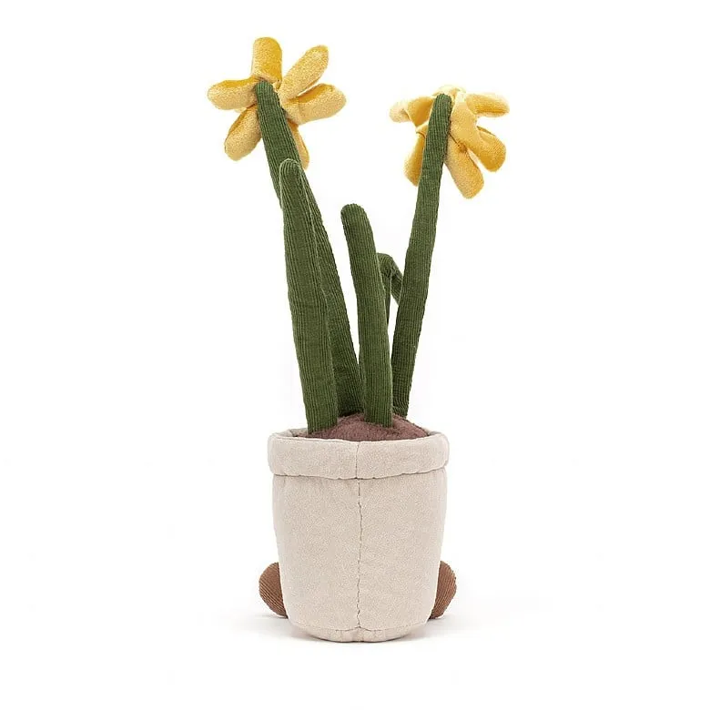 Amuseable Daffodil