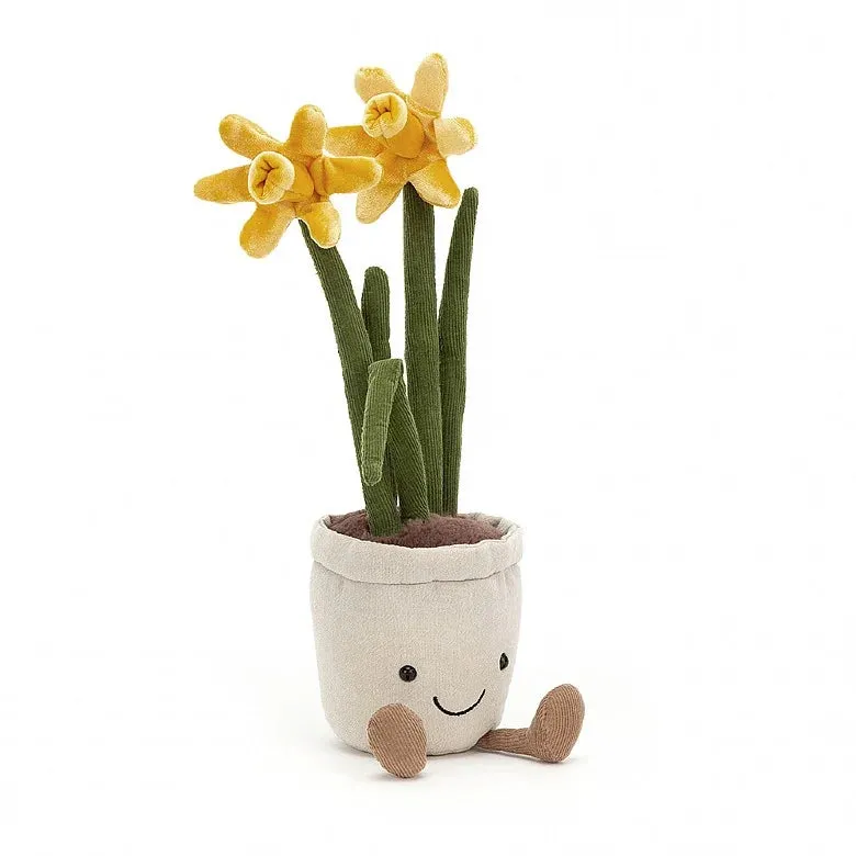 Amuseable Daffodil