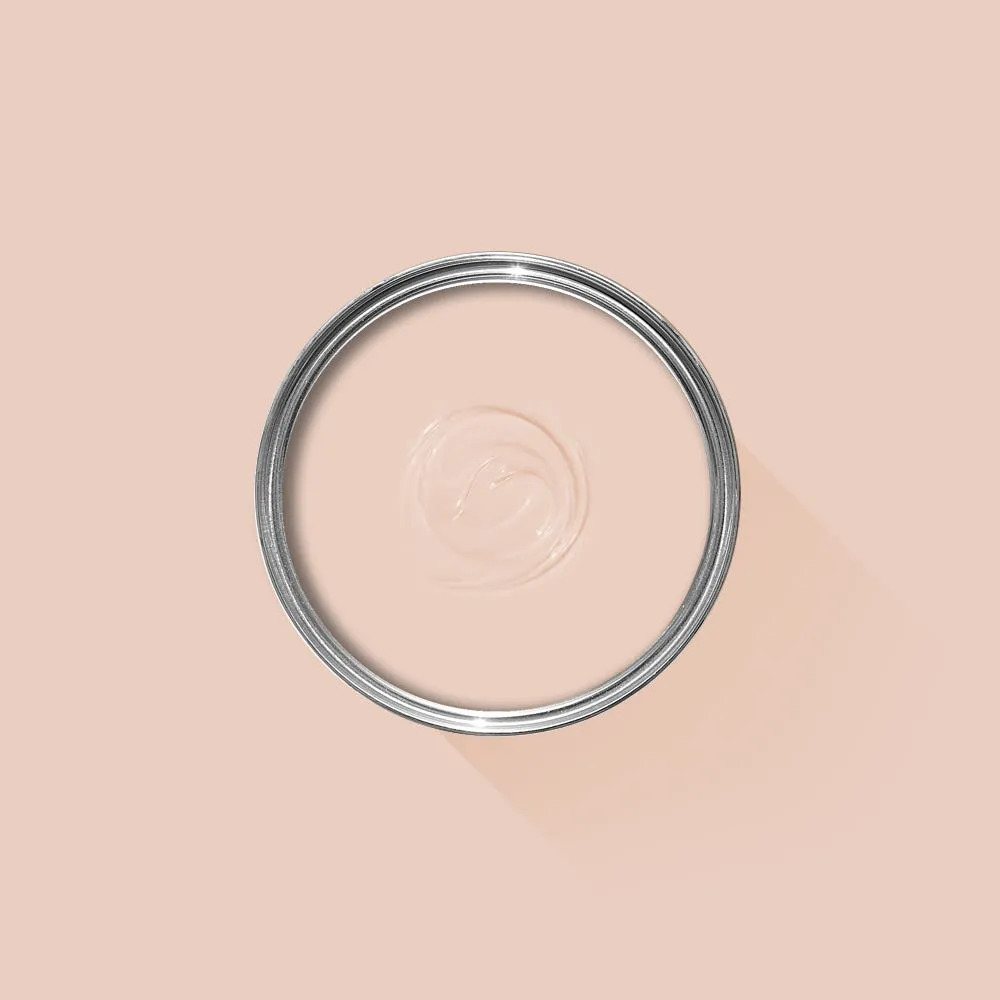 Farrow & Ball Pink Ground No. 202