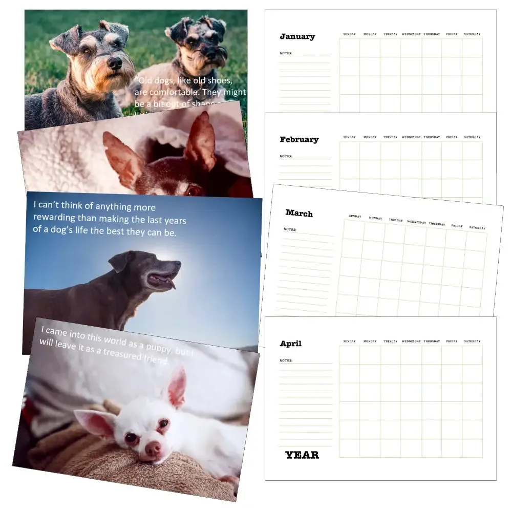 Senior Dogs Calendar PLR