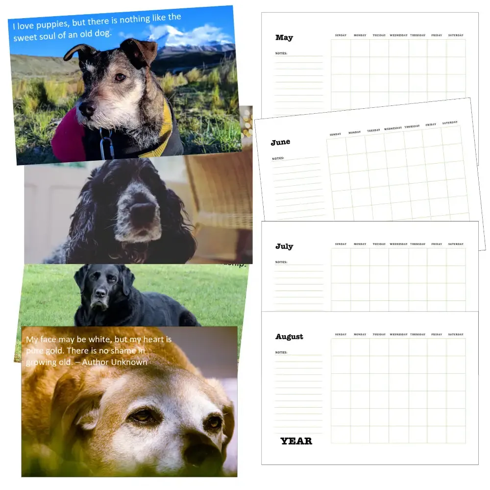 Senior Dogs Calendar PLR