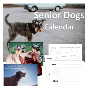 Senior Dogs Calendar PLR