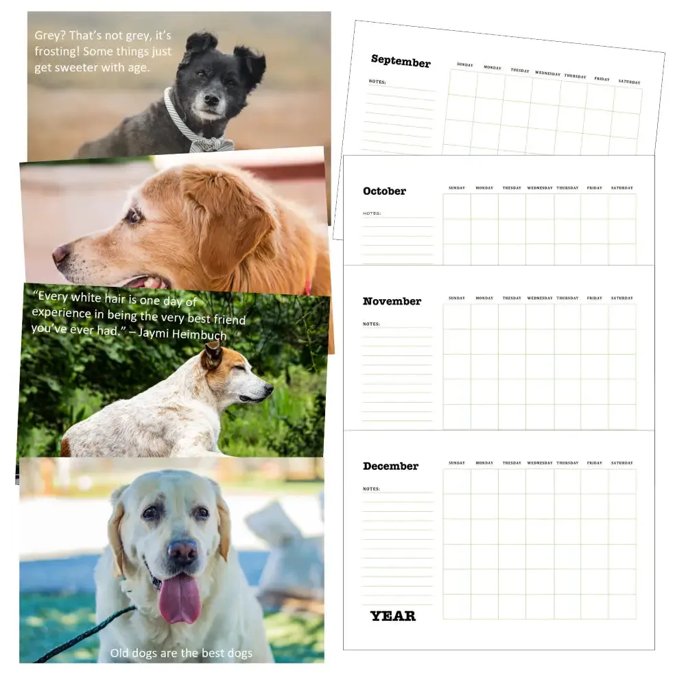 Senior Dogs Calendar PLR