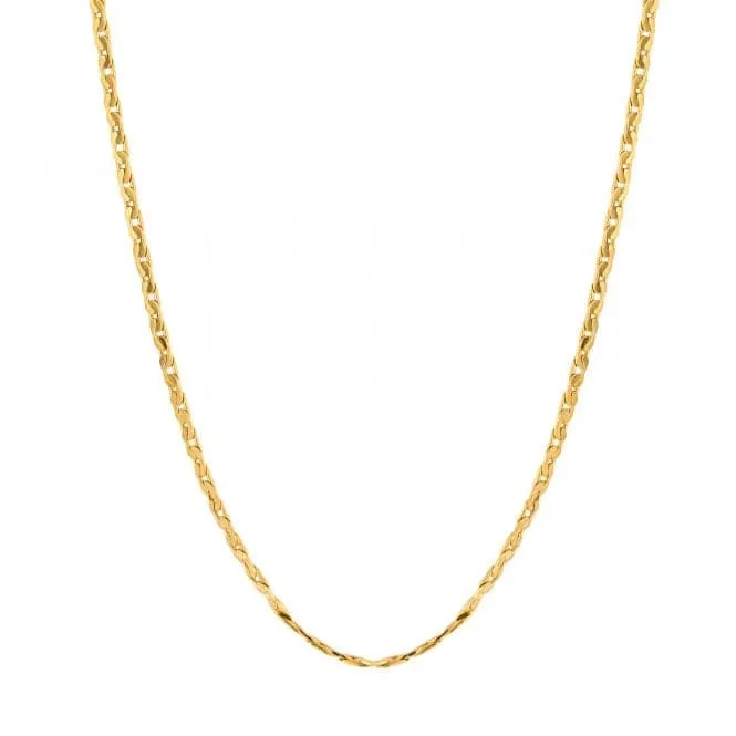 Stainless Steel 61cm Cardano Gold Plated Chain Necklace N4565