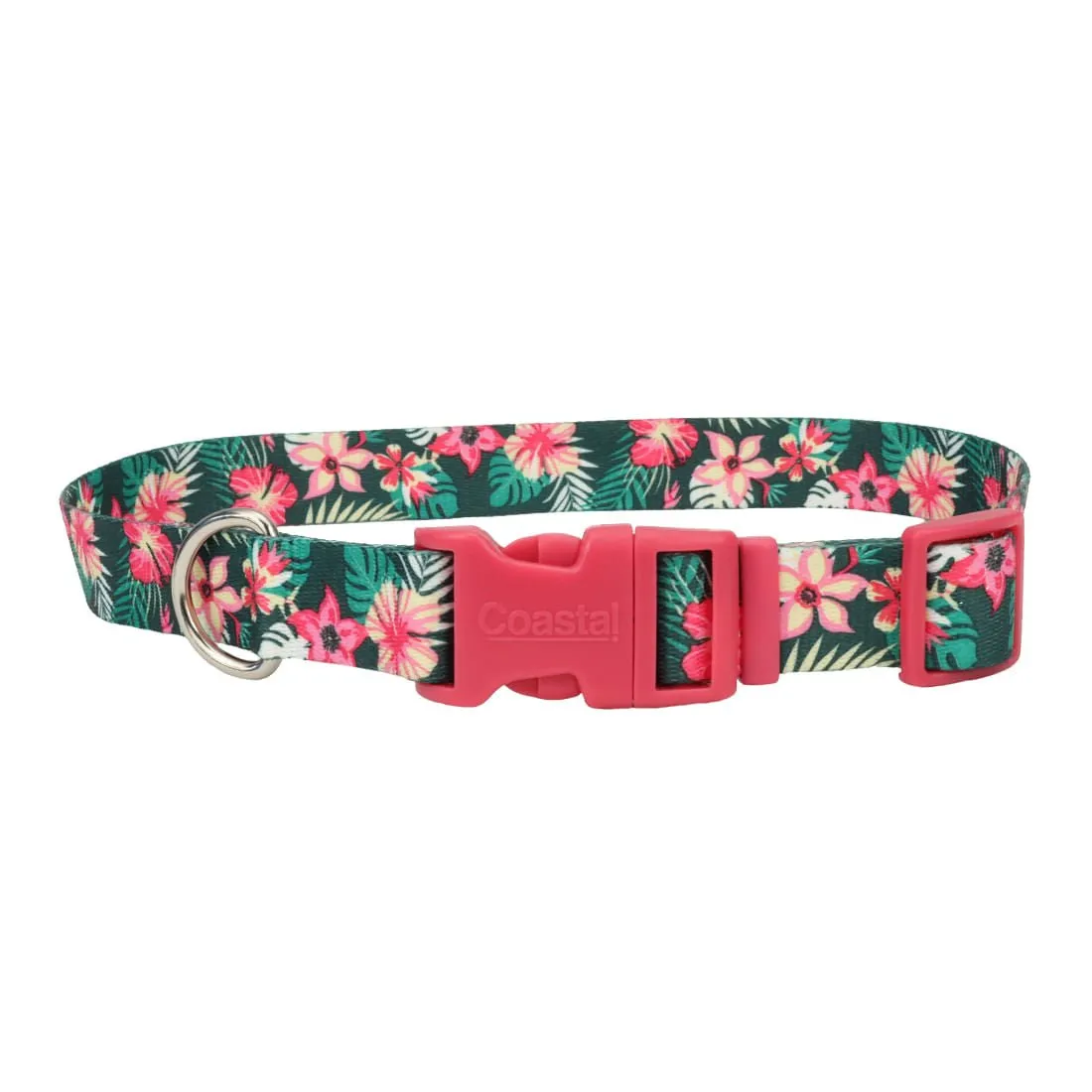 Styles Adjustable Dog Collar